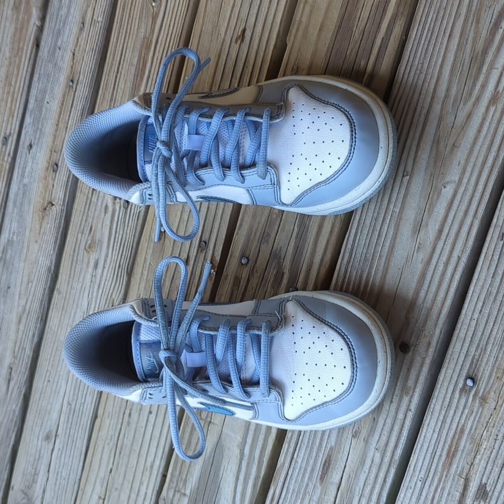 Nike dunks